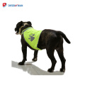 Wholesale promotion dog clothes